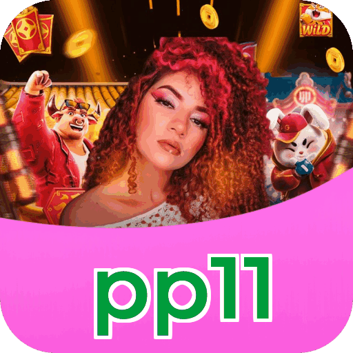 Acesso à conta pp11